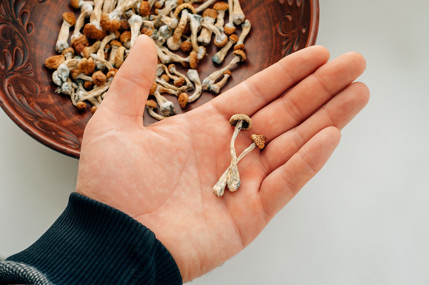 psilocybin mushrooms